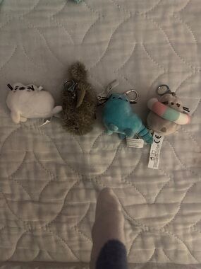 Pusheen Keychain Set x 4